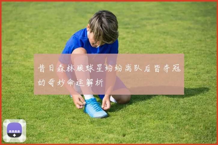 昔日森林狼球星纷纷离队后皆夺冠的奇妙命运解析