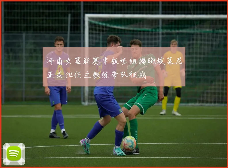 河南女篮新赛季教练组揭晓埃莱尼正式担任主教练带队征战